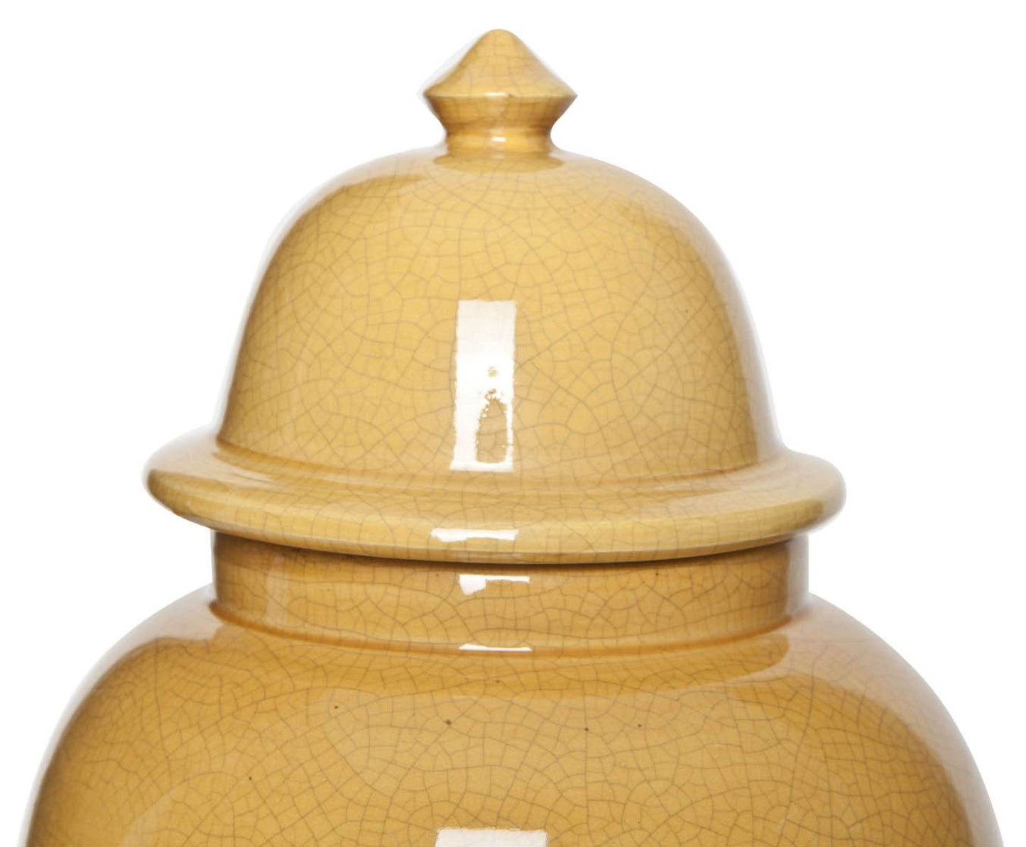 Deckelvase klassisch von Signature Home Collection