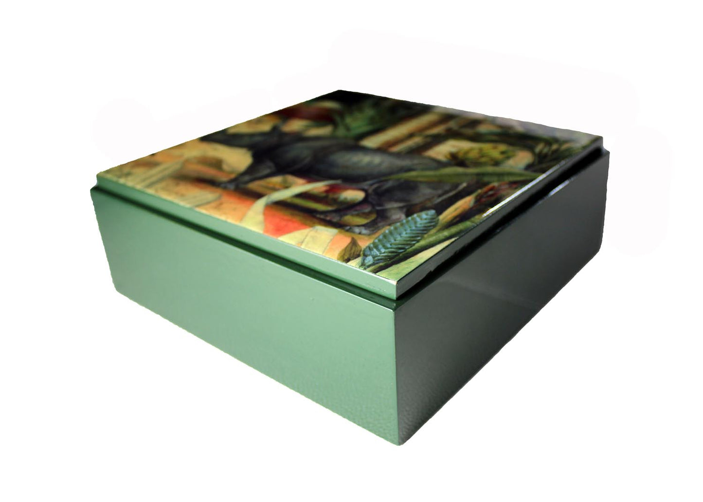 Signature box Rhino FC-142 square green