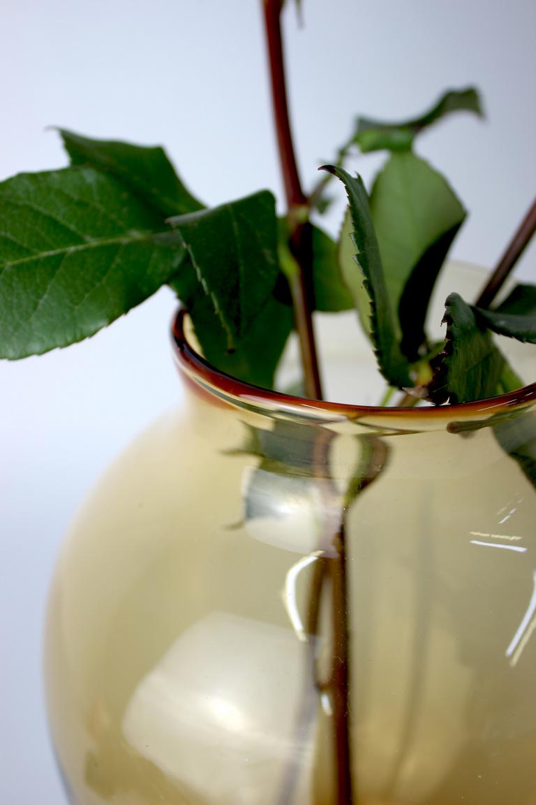 Transparente Vase in Gelb-Braun mit grünen Pflanzenstielen