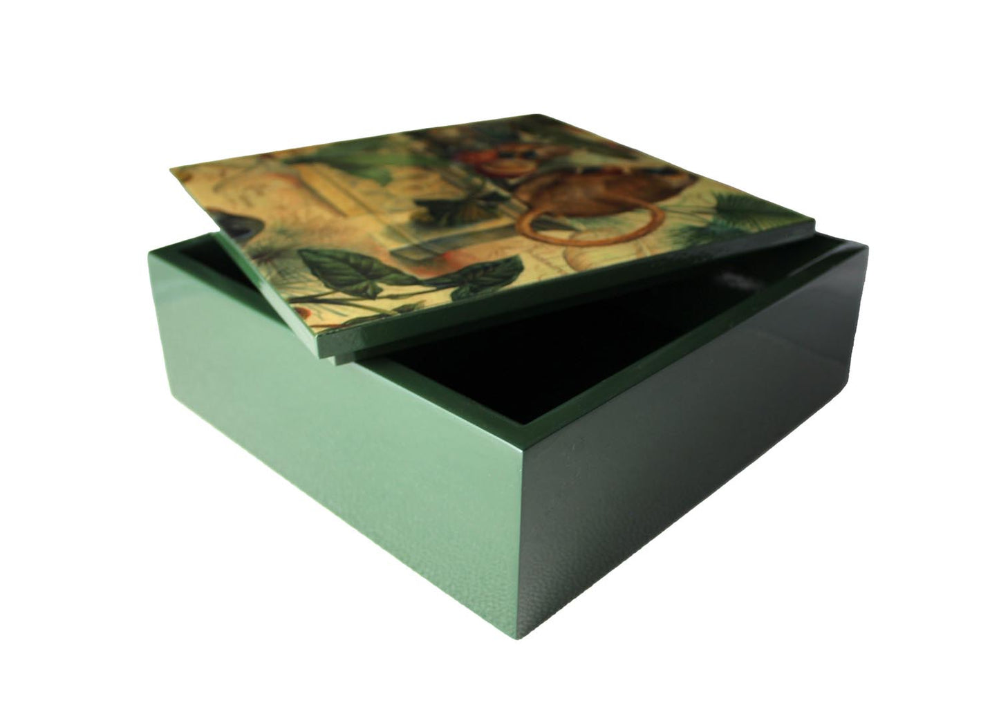 Signature box Rhino FC-142 square green