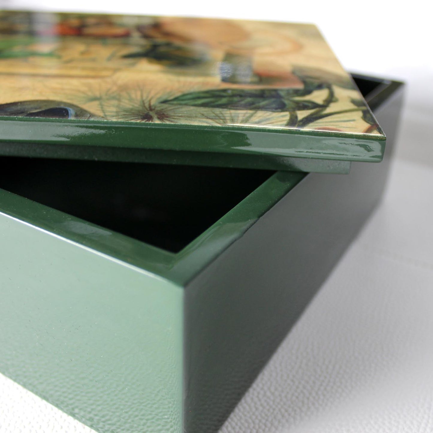 Signature box Rhino FC-142 square green