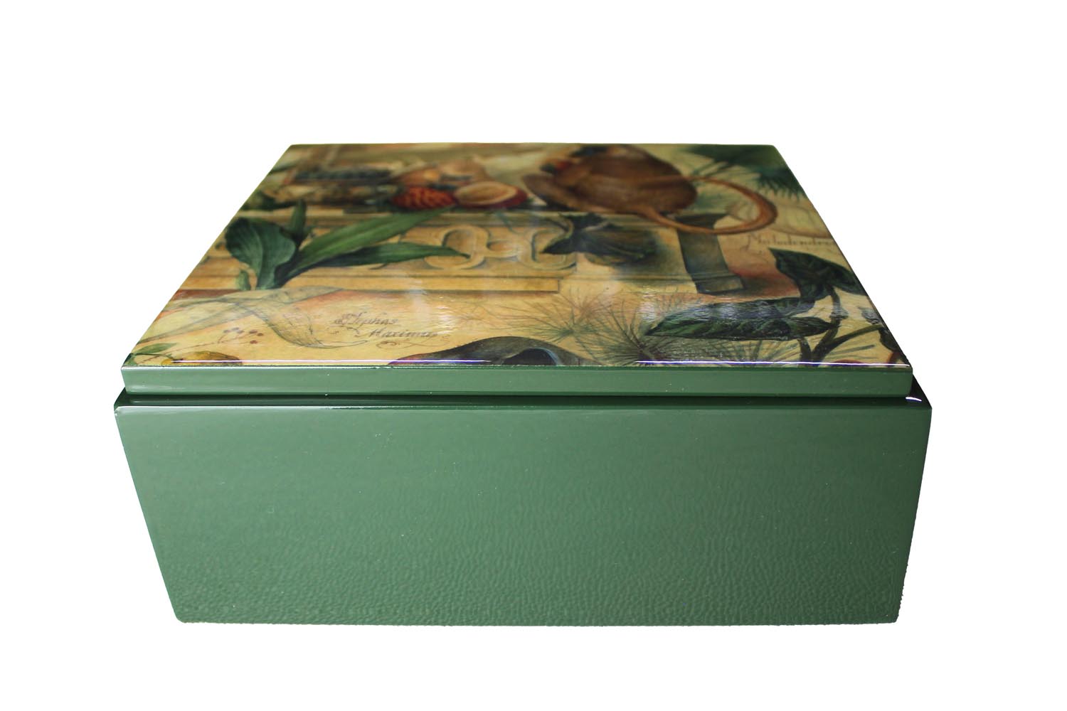 quadratische Box mit Bild auf Deckel