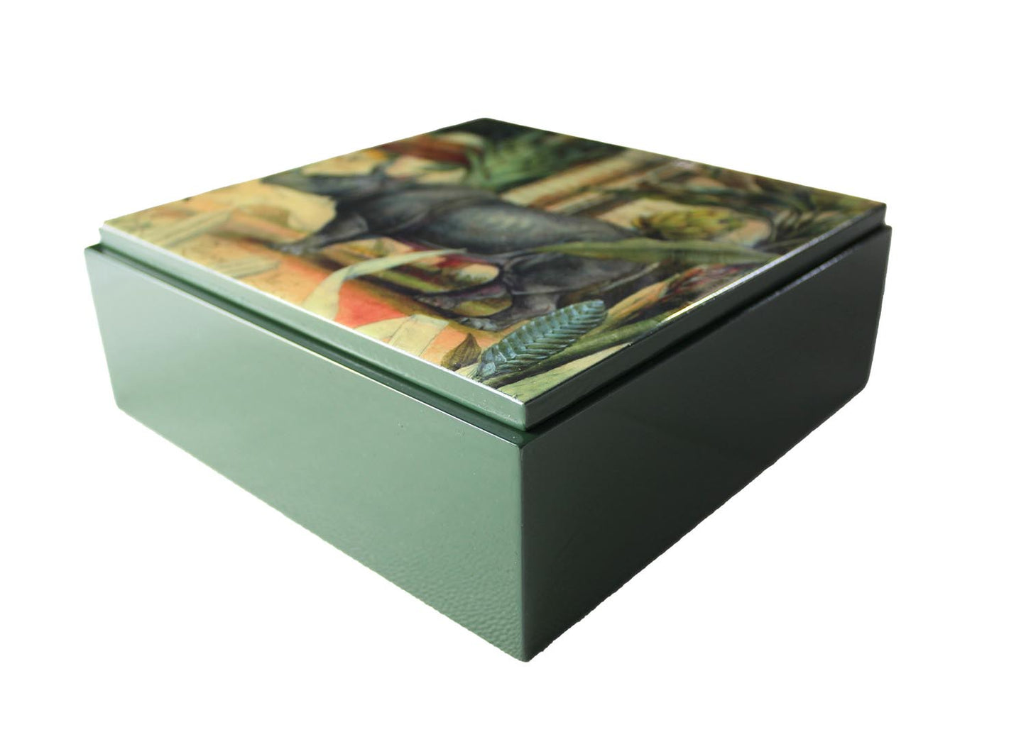 Signature box Rhino FC-142 square green