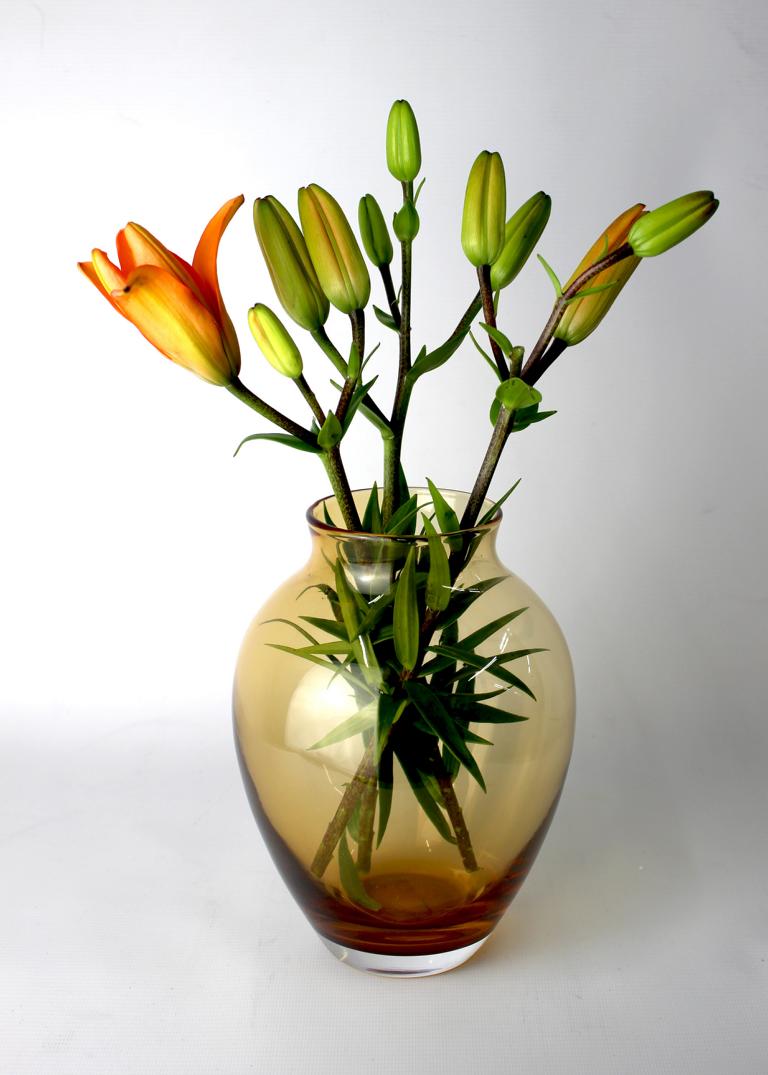 Bernsteinfarbene Vase mit grünen Lilienstängeln und einer leuchtend orangefarbenen Blüte